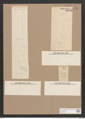 Pleurosigma var. brebissonii emtpy (de-Toni-Nr.: Genus 13, Species 1063) Zeichnungen Sammlung Grunow Nr. 1924 (NHMW-BOT-W0369051)